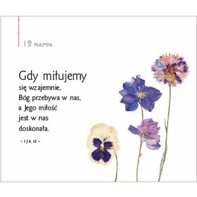 we-dwoje-przez-365-dni_5b3f23b42bc3f